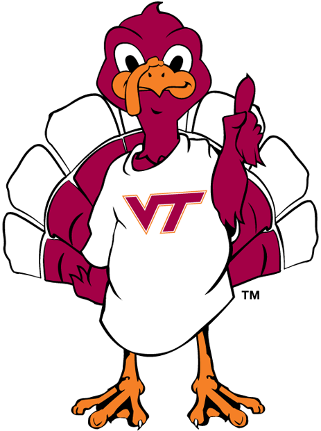 Virginia Tech Hokies 2000-Pres Mascot Logo v3 iron on transfers for clothing